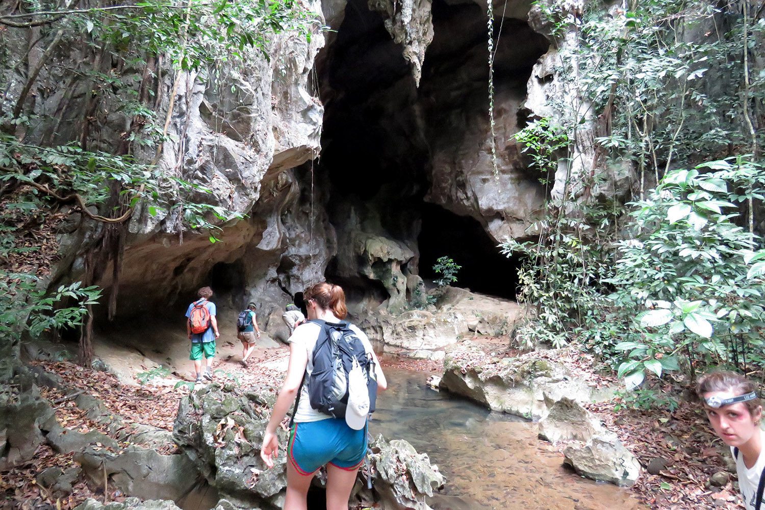 Khao Sok Trekking Half Day