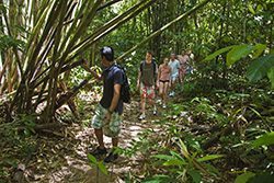 Khao Sok Trekking