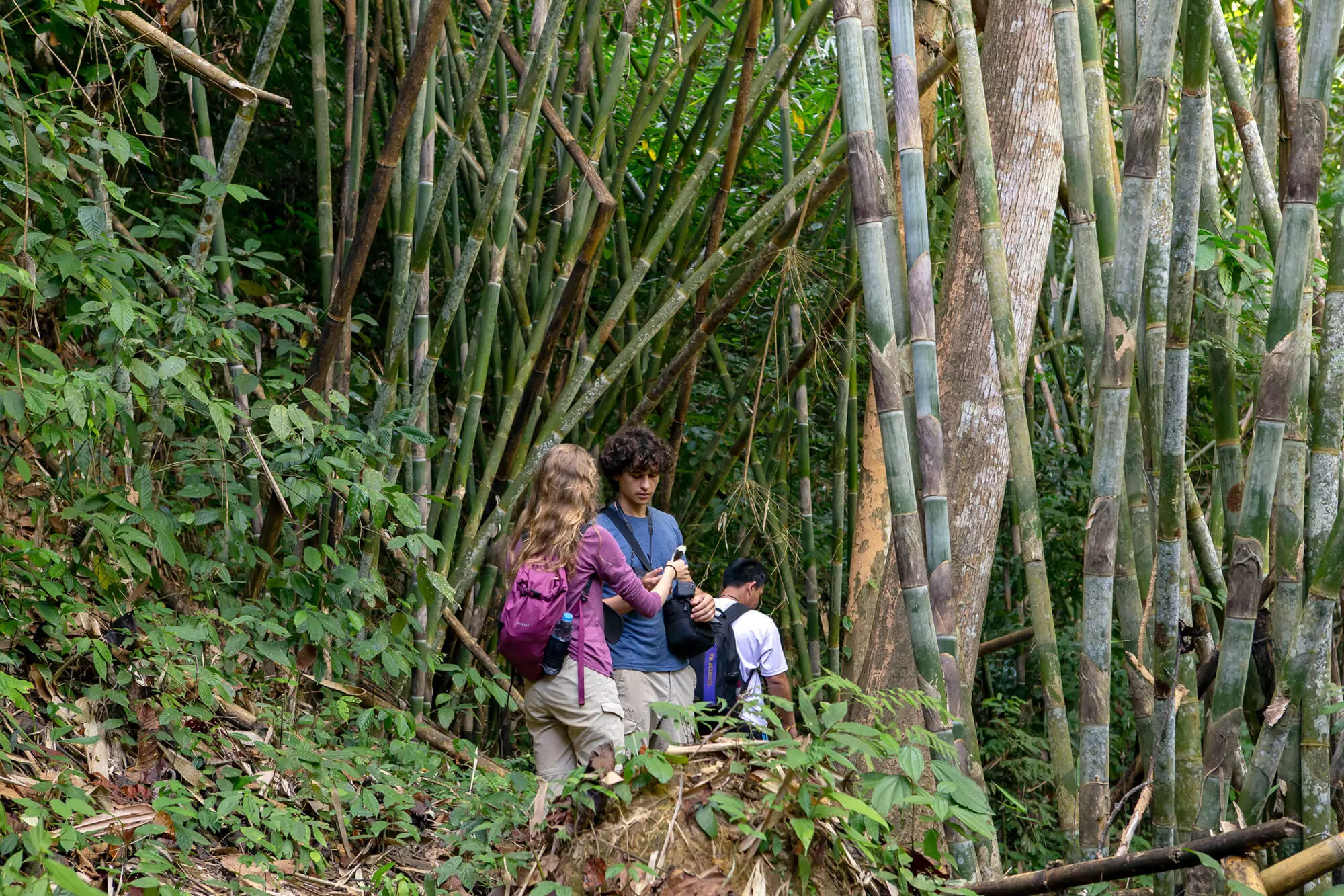 Khao Sok half day hike