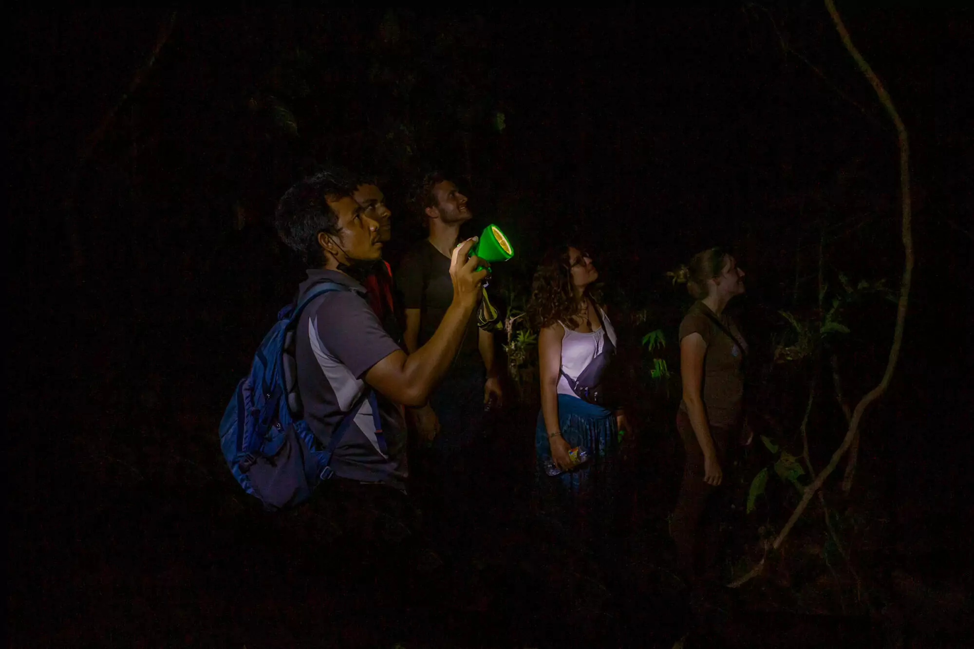 Khao Sok night safari